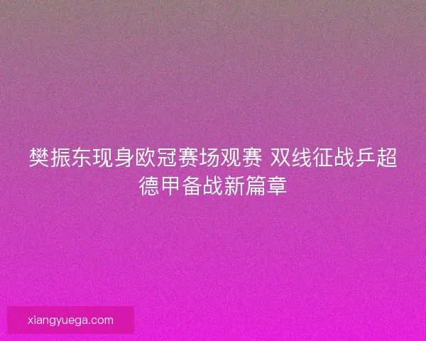 樊振东现身欧冠赛场观赛 双线征战乒超德甲备战新篇章